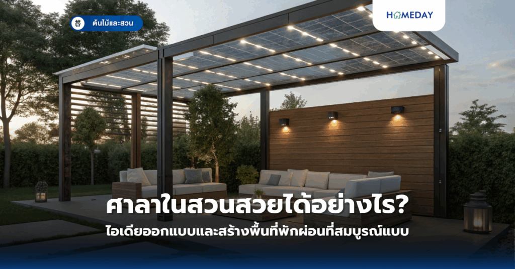 วิธีการปลูกผักไฮโดรโปนิกส์บนระเบียงคอนโดให้ได้ผลจริงหรือไม่? (copy)