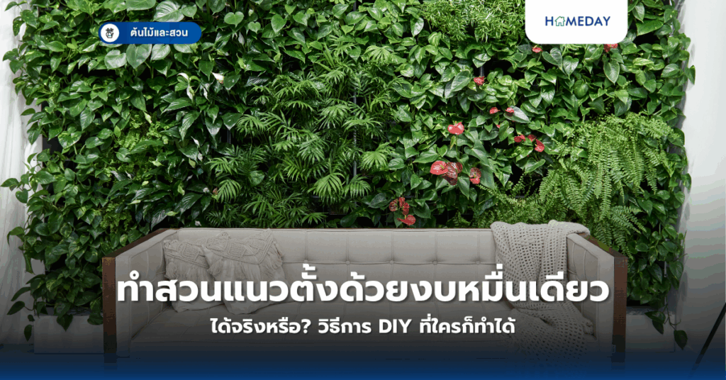 ทำสวนแนวตั้งด้วยงบหมื่นเดียวได้จริงหรือ? วิธีการ Diy ที่ใครก็ทำได้