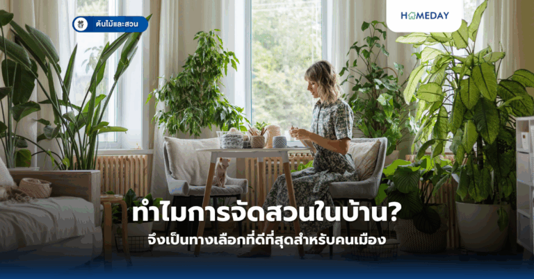 ทำสวนแนวตั้งด้วยงบหมื่นเดียวได้จริงหรือ? วิธีการ Diy ที่ใครก็ทำได้ (copy)