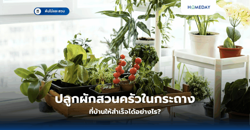 ทำไมการจัดสวนในบ้านจึงเป็นทางเลือกที่ดีที่สุดสำหรับคนเมือง? (copy)