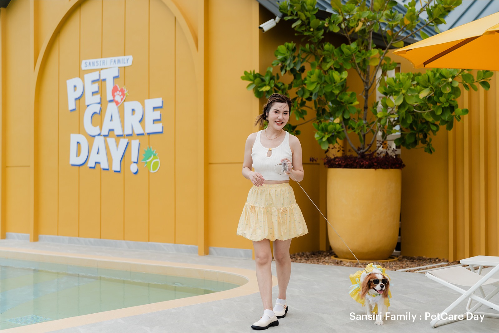 1.1) Sansirifamily Petcareday