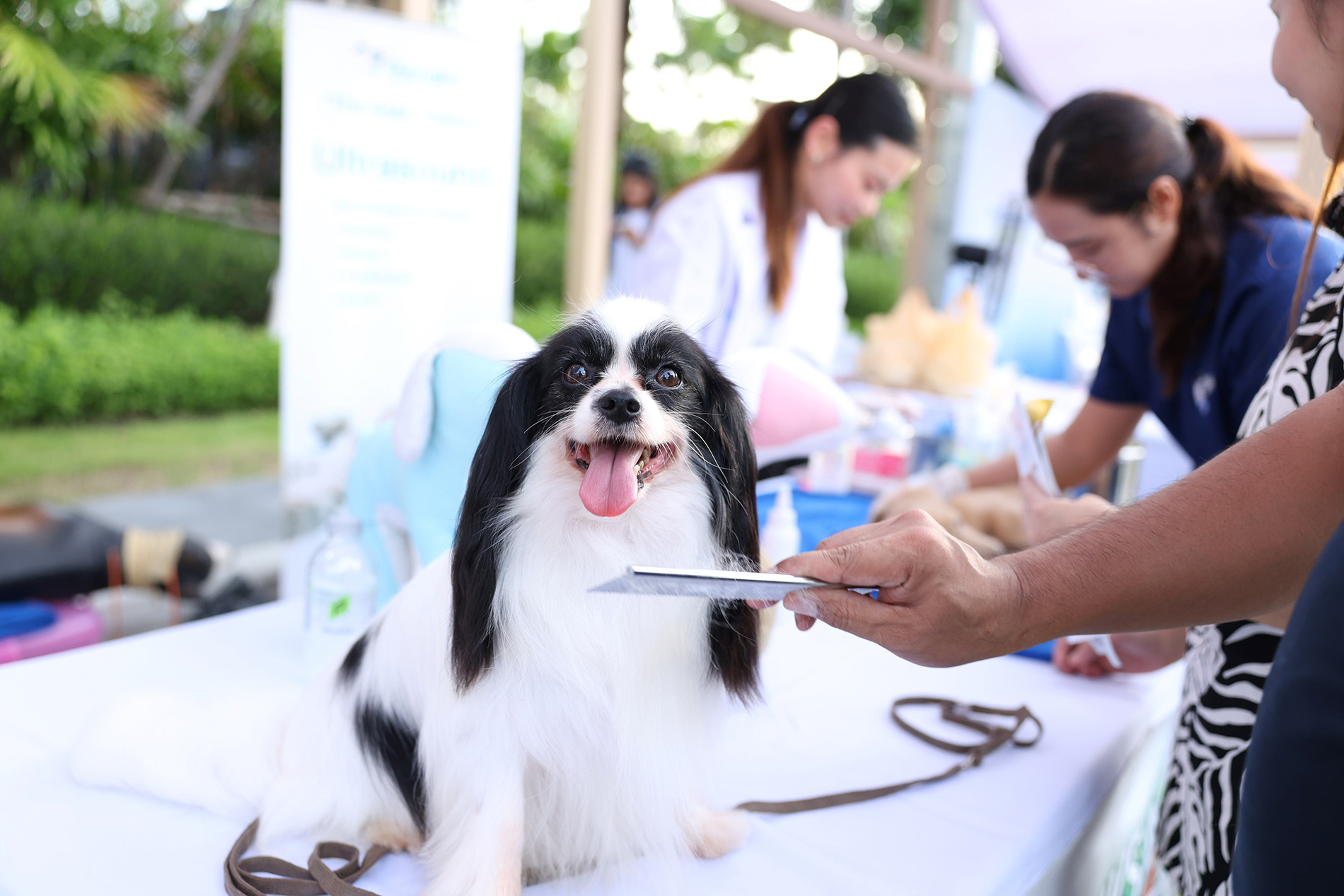 12. Pruksa Healthy Living Market Fest 0