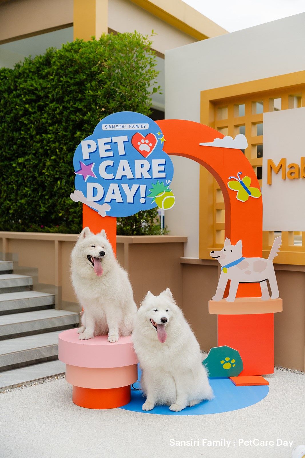 5) Sansirifamily Petcareday