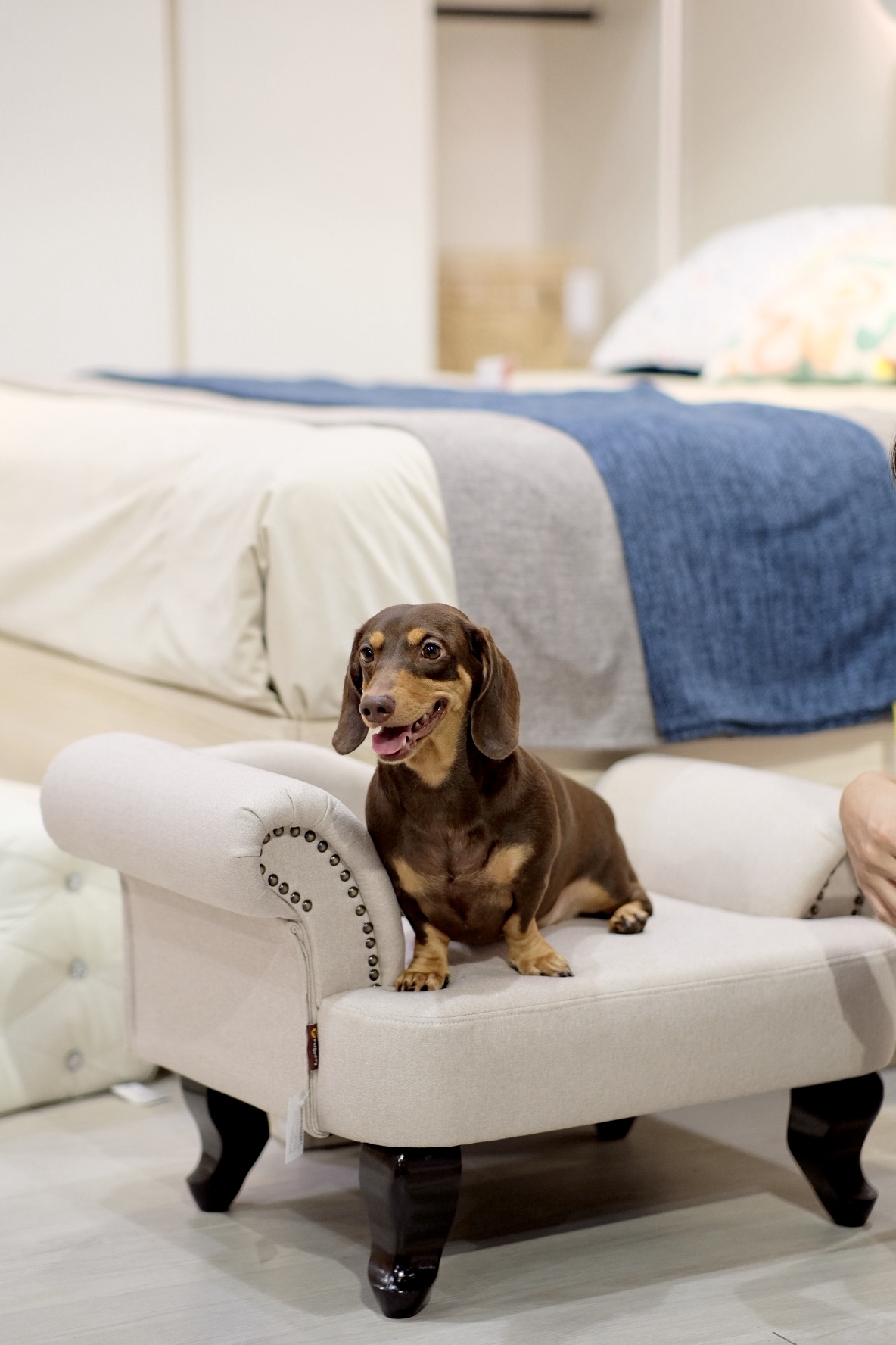 Facetune 11 11 2024 00 48 07 0