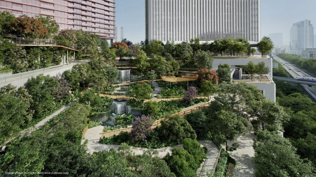 Roof Park 2