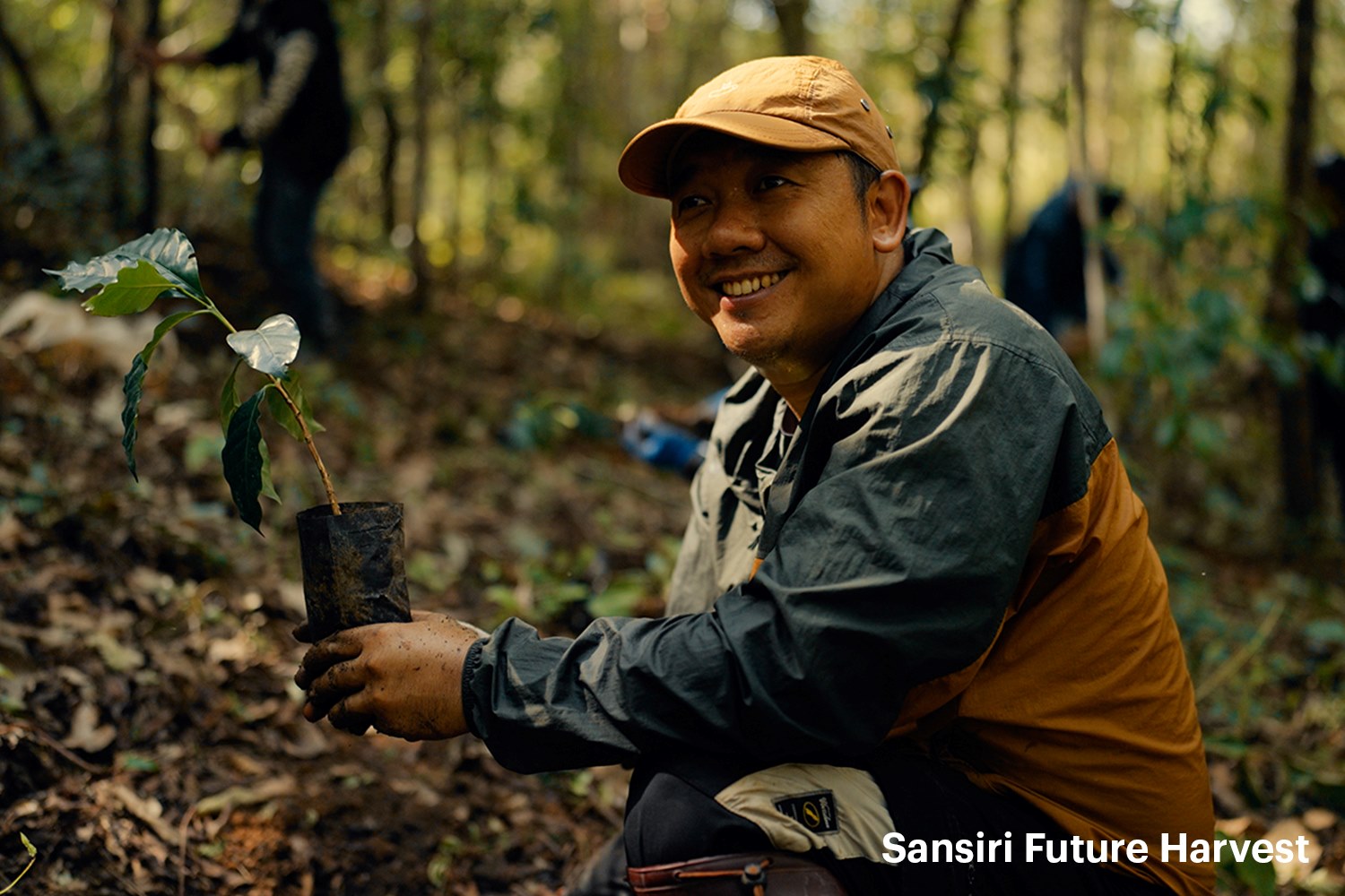 Sansiri Future Harvest 01