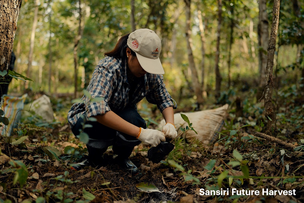 Sansiri Future Harvest 03
