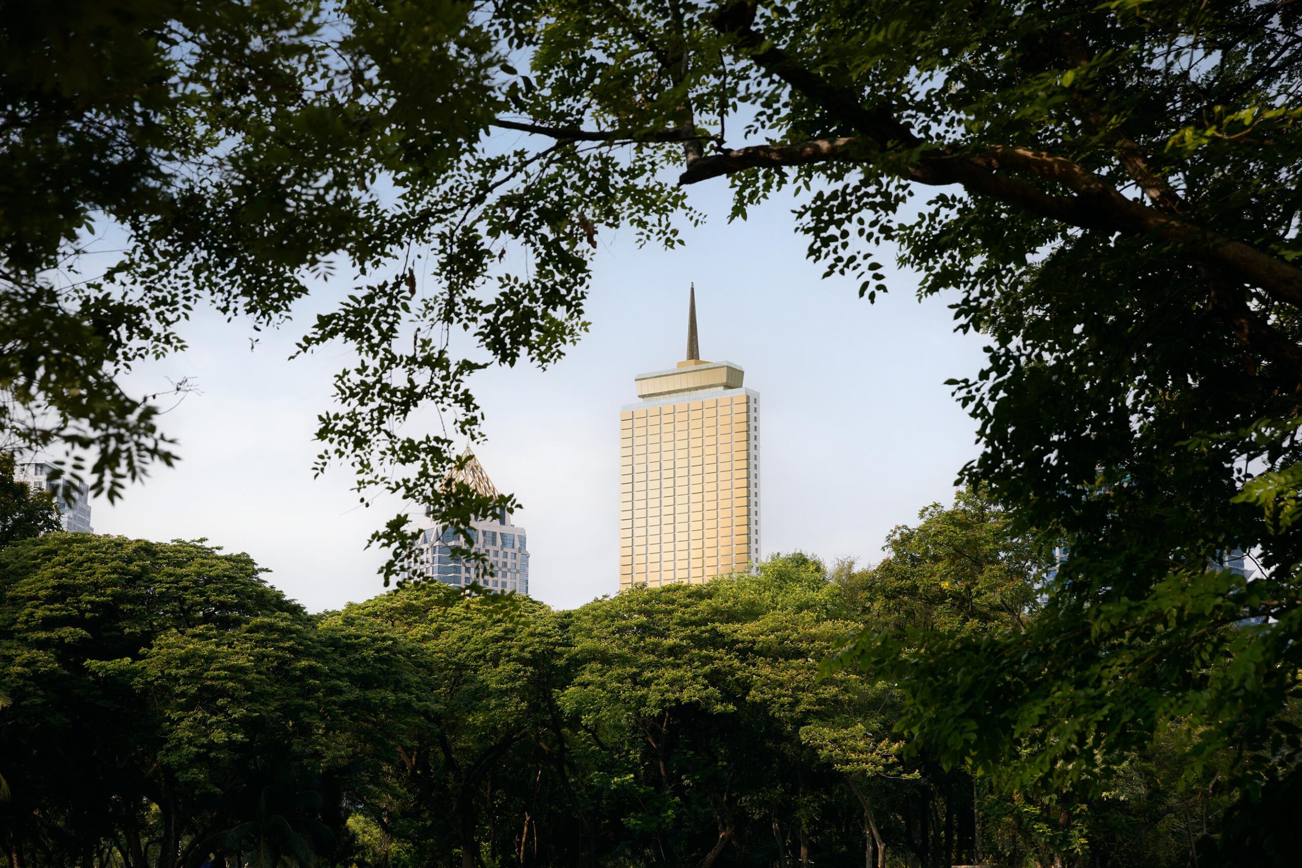 Dusit Thani Bangkok From The Park