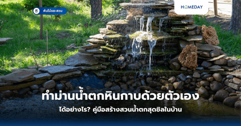 ทำม่านน้ำตกหินกาบด้วยตัวเองได้อย่างไร? คู่มือสร้างสวนน้ำตกสุดชิลในบ้าน