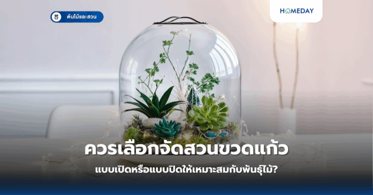 ทำม่านน้ำตกหินกาบด้วยตัวเองได้อย่างไร? คู่มือสร้างสวนน้ำตกสุดชิลในบ้าน (copy)