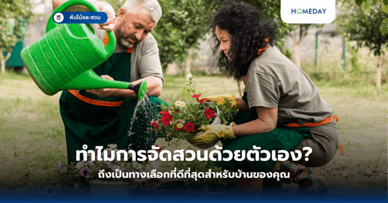 ทำไมการจัดสวนด้วยตัวเองถึงเป็นทางเลือกที่ดีที่สุดสำหรับบ้านของคุณ