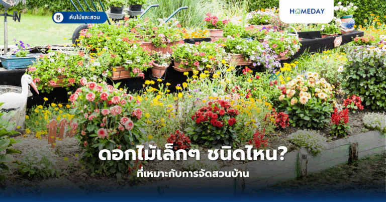 ปลูกผักเมืองหนาวที่บ้านง่ายจริงหรือ? เทคนิคลับที่ทำให้คุณมีผักสดใส่ตู้เย็นตลอดปี (copy)