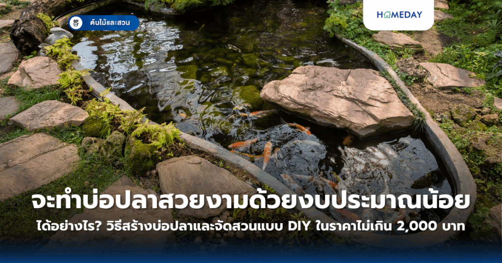 ดอกเดซี่คืออะไร? ทำไมจึงเป็นสัญลักษณ์แห่งความบริสุทธิ์และความรัก? (copy)