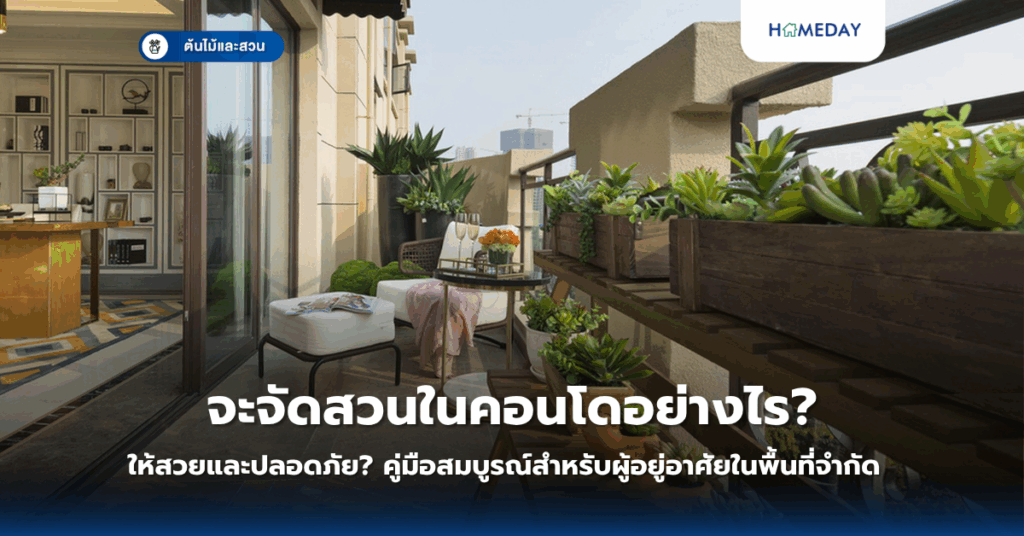 ต้นเงินไหลมาคืออะไรและทำไมจึงเป็นไม้มงคลที่ทุกบ้านควรมี? (copy)