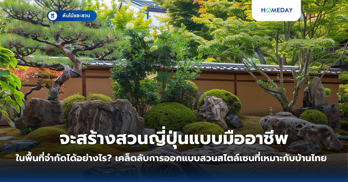 ทำไมต้นทองอุไรถึงเป็นไม้ดอกมงคลที่คุ้มค่าแก่การปลูก? (copy)