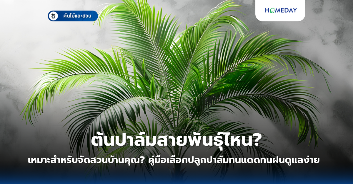 จะสร้างสวนญี่ปุ่นแบบมืออาชีพในพื้นที่จำกัดได้อย่างไร? เคล็ดลับการออกแบบสวนสไตล์เซนที่เหมาะกับบ้านไทย (copy)