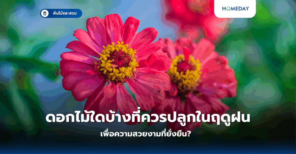 ดอกไม้ใดบ้างที่ควรปลูกในฤดูฝนเพื่อความสวยงามที่ยั่งยืน?