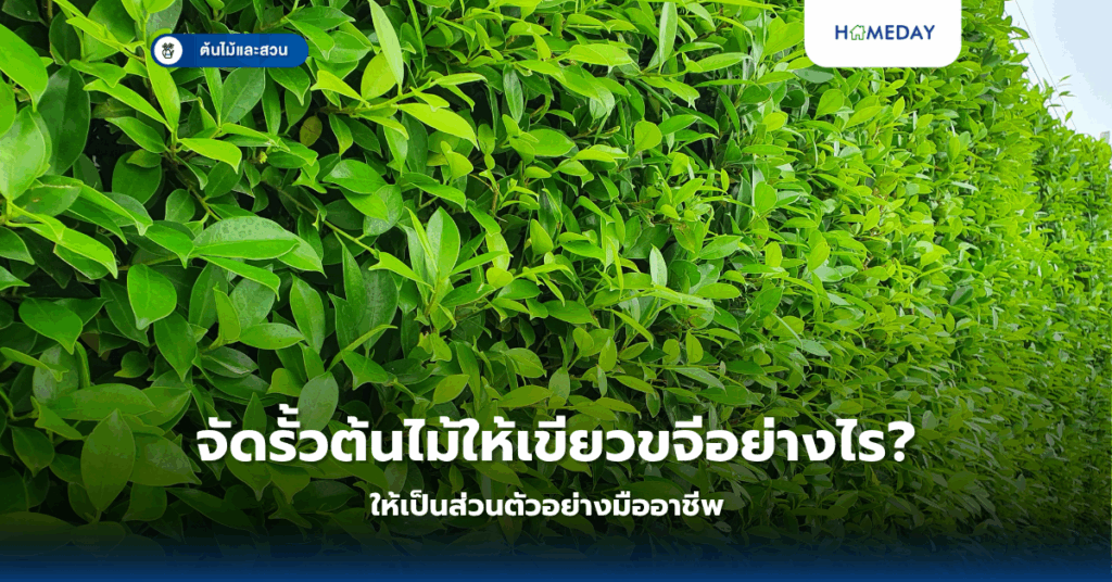 ทำอย่างไรให้ทางเดินในสวนเรียบสวย เข้ากับบ้านอย่างลงตัว? (copy)