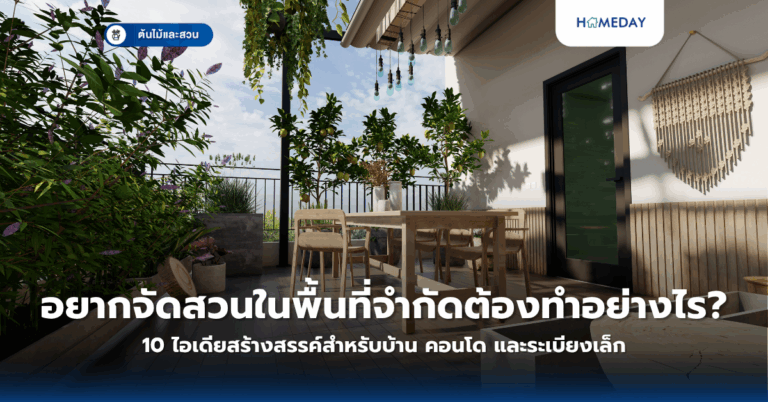 ทำไมควรเริ่มปลูกผักสวนครัวไว้กินเองและจะทำอย่างไรให้ได้ผล? (copy)