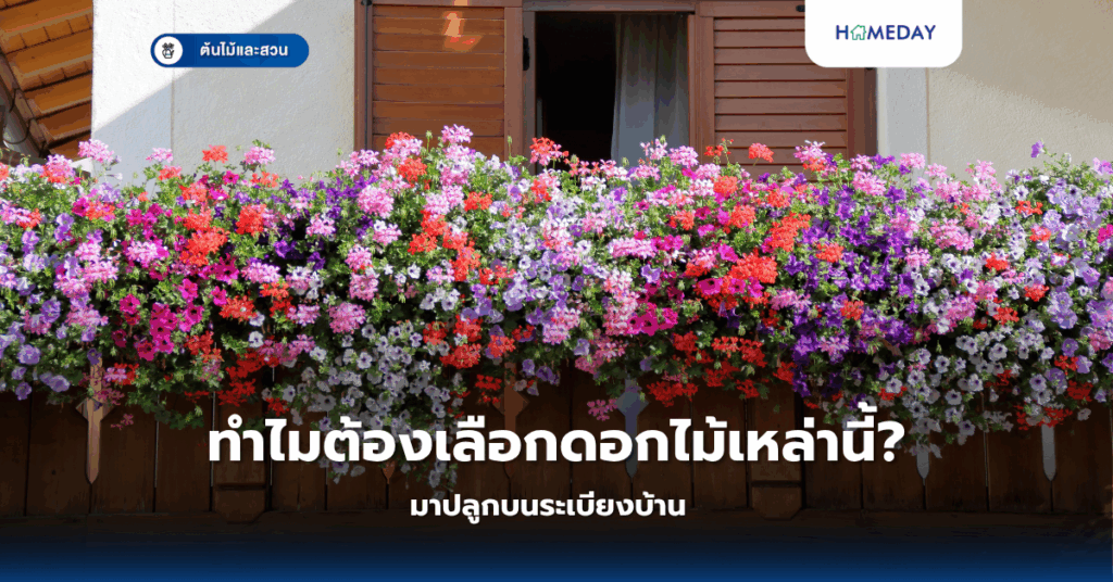 ดอกไม้สีเหลืองอะไรที่ควรปลูกในบ้าน? พร้อมความหมายและการดูแลที่ถูกต้อง (copy)