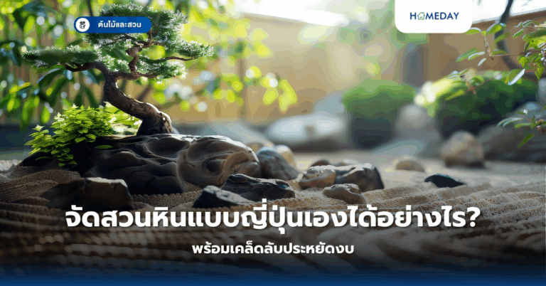 ทำไมต้องเลือกดอกไม้เหล่านี้มาปลูกบนระเบียงบ้าน? (copy)