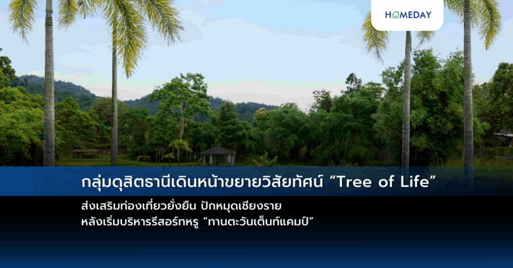 กลุ่มดุสิตธานีเดินหน้าขยายวิสัยทัศน์ “tree Of Life” ส่งเสริมท่องเที่ยวยั่งยืน ปักหมุดเชียงราย หลังเริ่มบริหารรีสอร์ทหรู “ทานตะวันเต็นท์แคมป์”