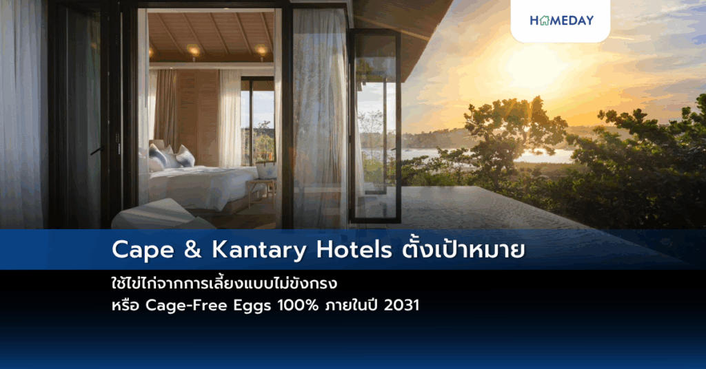 Cape & Kantary Hotels ตั้งเป้าหมาย ใช้ไข่ไก่จากการเลี้ยงแบบไม่ขังกรง หรือ Cage Free Eggs 100% ภายในปี 2031