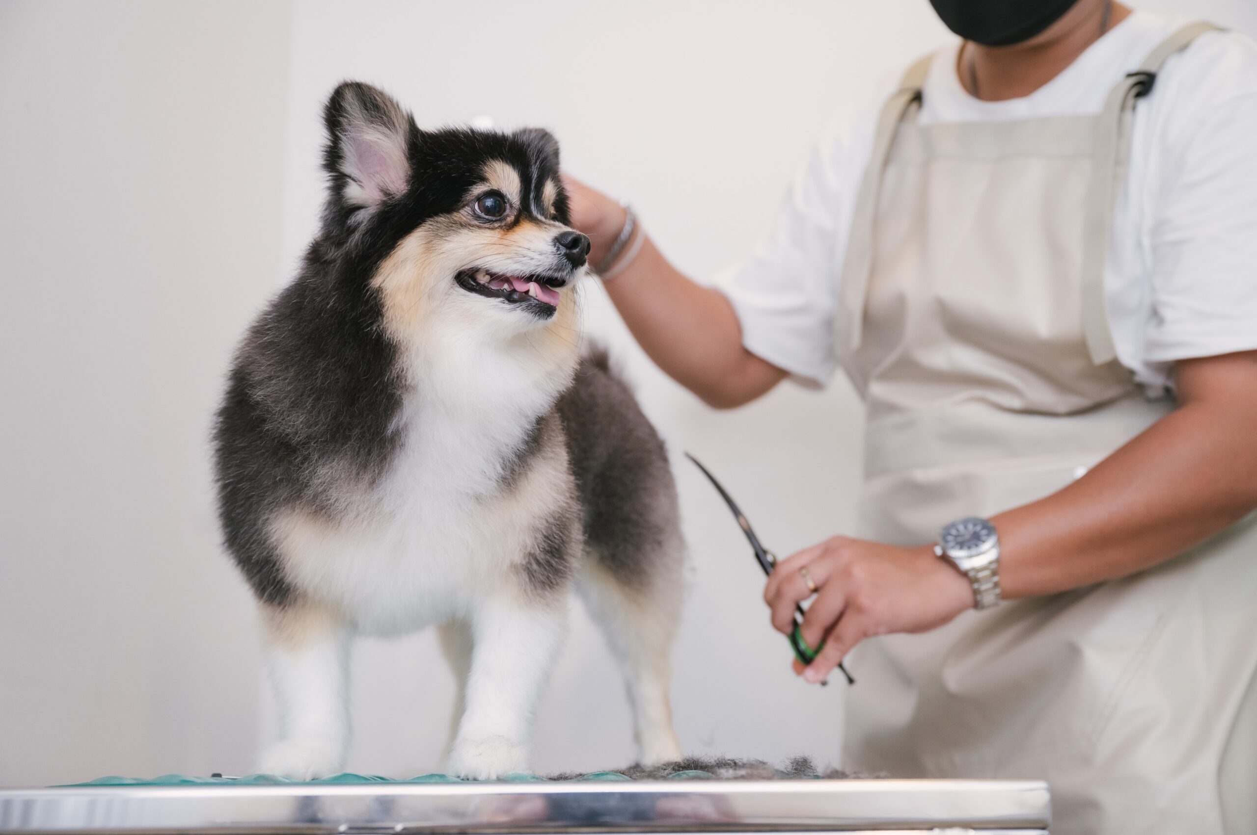 “สโคป พร้อมศรี” เปิดตัวแคมเปญ “จองเมื่อไหร่ ได้ค่าเช่าเมื่อนั้น” เอาใจนักลงทุนไฮเอนด์ มอบผลตอบแทนทันทียาวนาน 1 ปีเต็ม! พร้อมสิทธิประโยชน์รวมกว่า 460,000 บาท