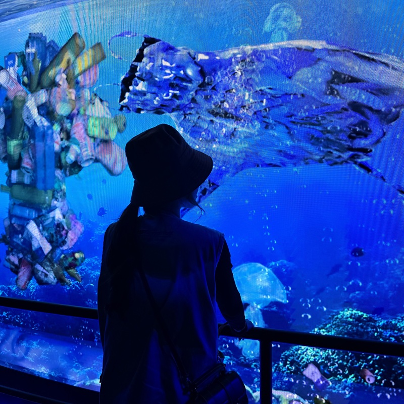 เคทีซี – Awc พาครอบครัวไทยผจญภัยจูราสสิค เวิลด์ ดันท่องเที่ยว การเรียนรู้นอกห้องเรียน