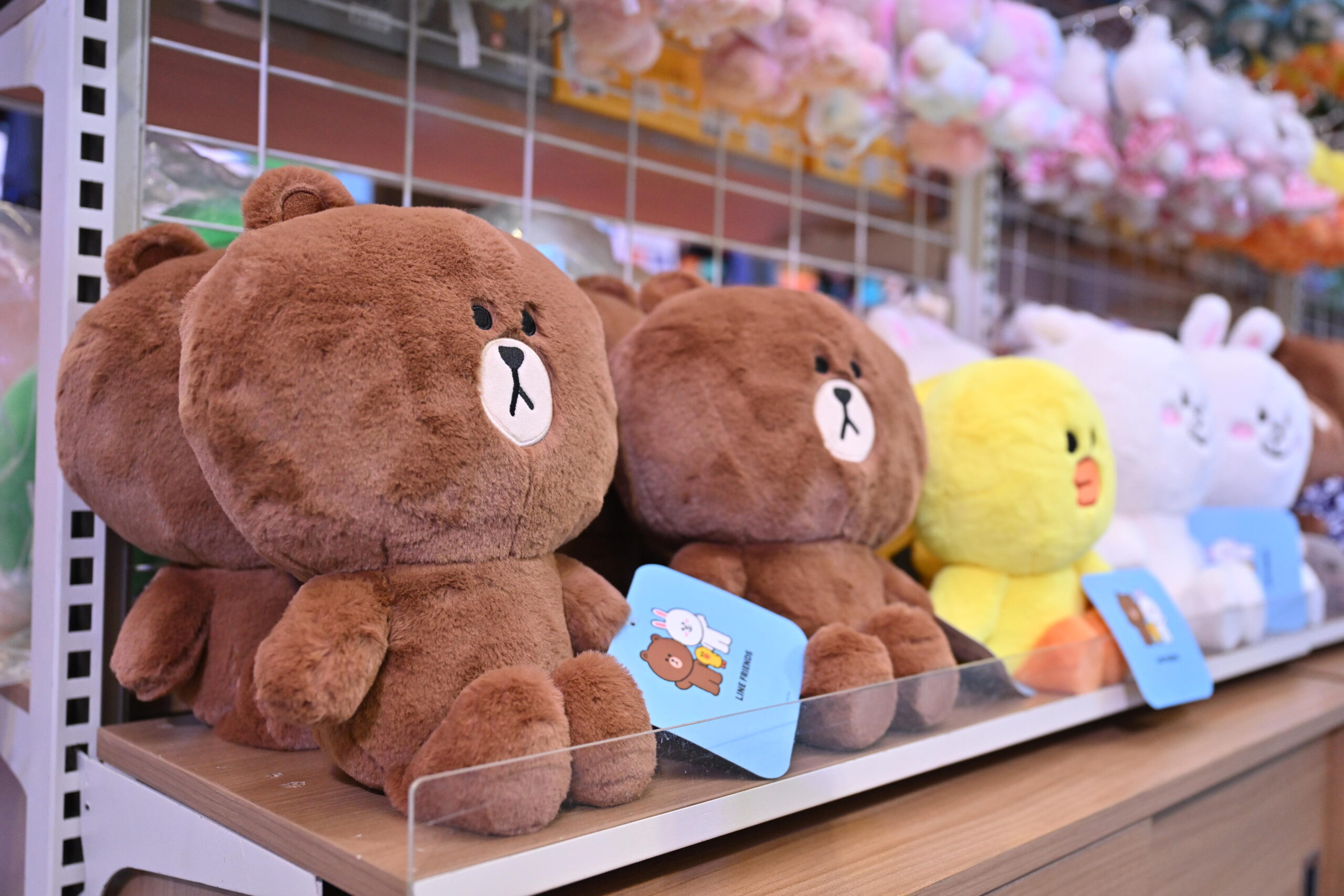 Line Friends ฉลอง “brown’s Birthday” อบอวลด้วยรอยยิ้มกลางสยาม “ภีมวสุ” ร่วมเป่าเค้กวันเกิด พร้อมเซอร์ไพรส์สุดพิเศษ