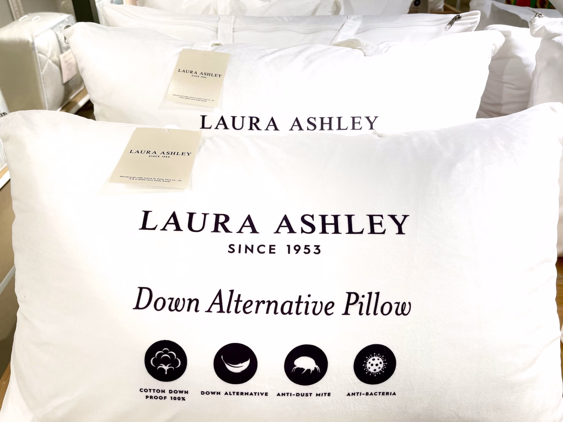 ลอร่า แอชลีย์ (laura Ashley) เปิดตัวคอลเลกชันใหม่ “timeless British Elegance : Vibrant Bloom Collection” พร้อมขยายช่องทางขายที่ สยามพารากอน และ ดิ เอ็มโพเรียม