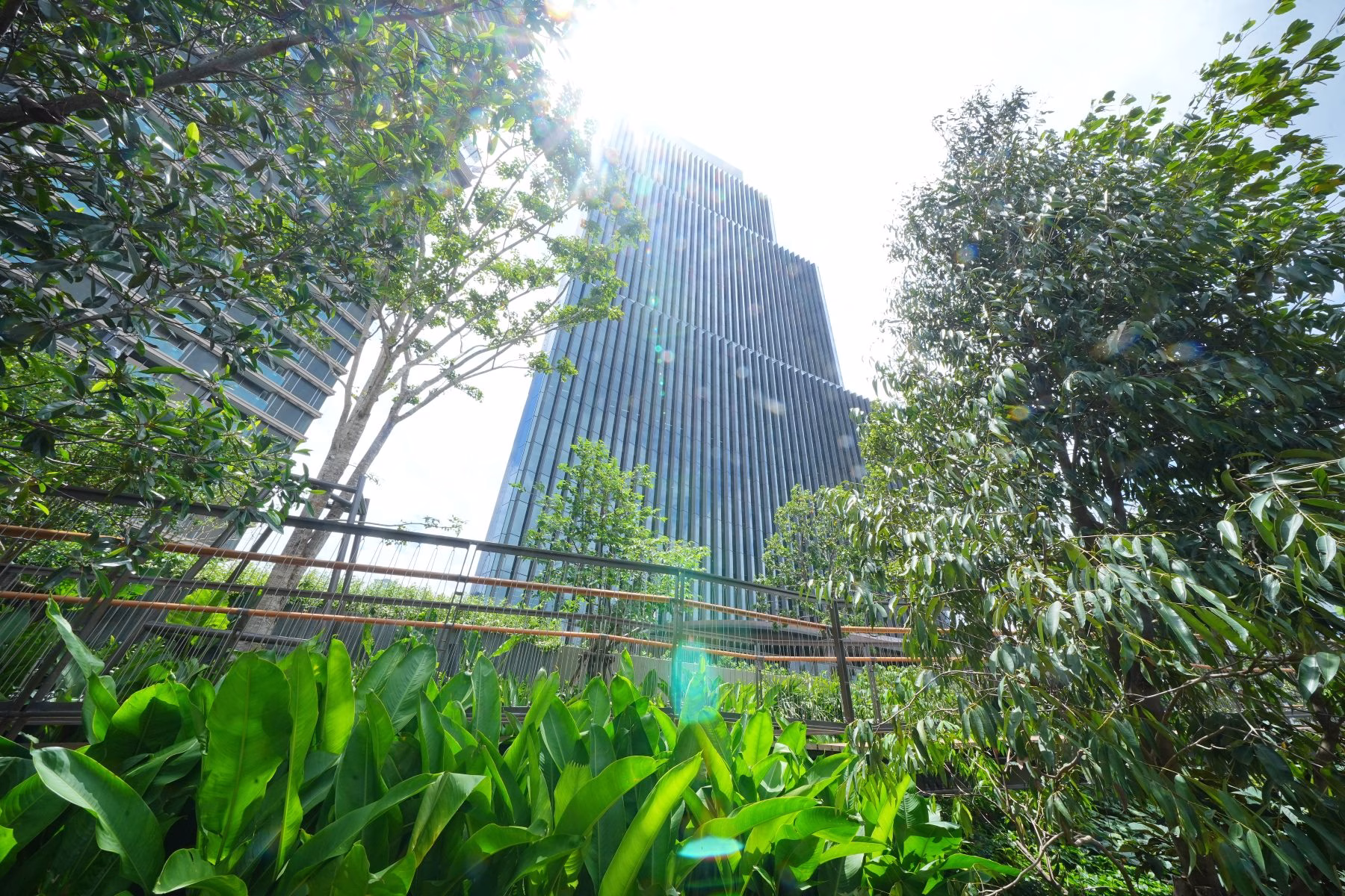 First Look! เปิดมุมสวย ‘central Park’ ดีเดย์วันนี้ 4 ก.ย.