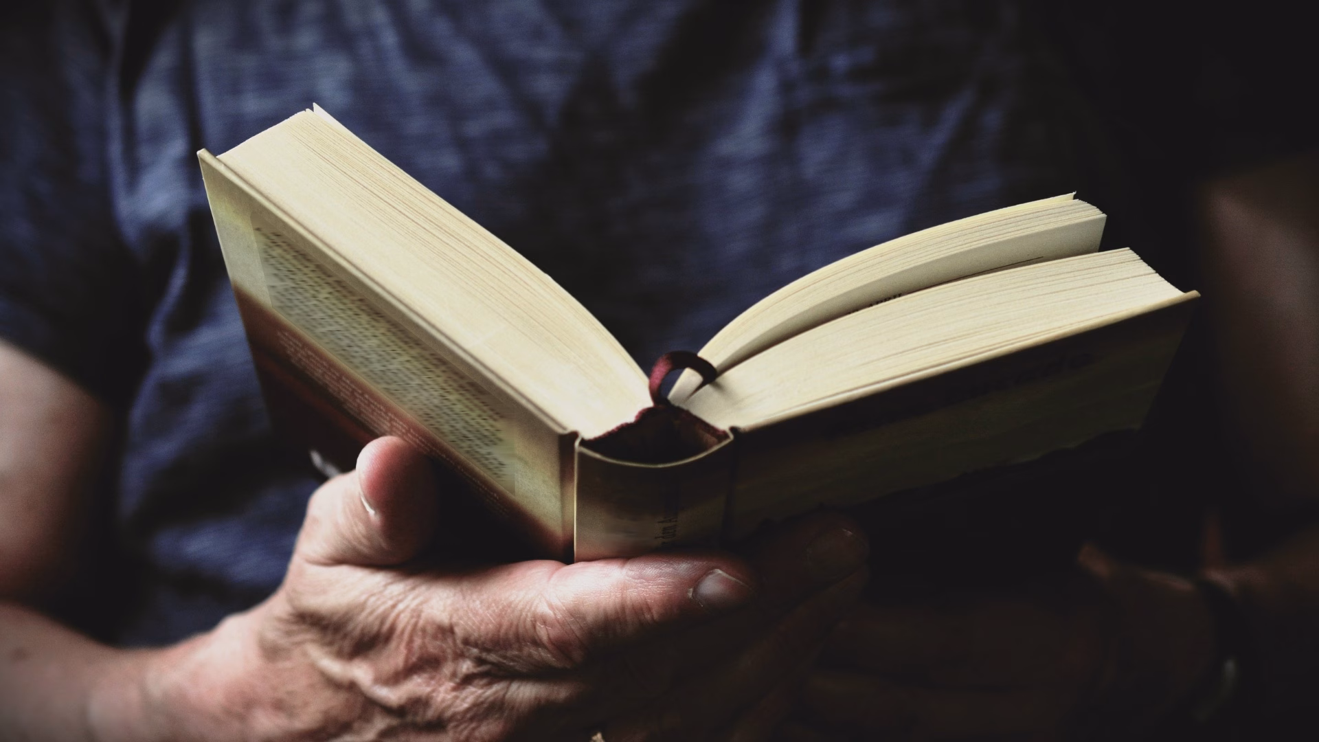 ไม่ใช่ของฟุ่มเฟือย แต่คือความสุข: เมื่อหนังสือ สัตว์เลี้ยง และเวลเนสกลายเป็นการลงทุนทางใจ