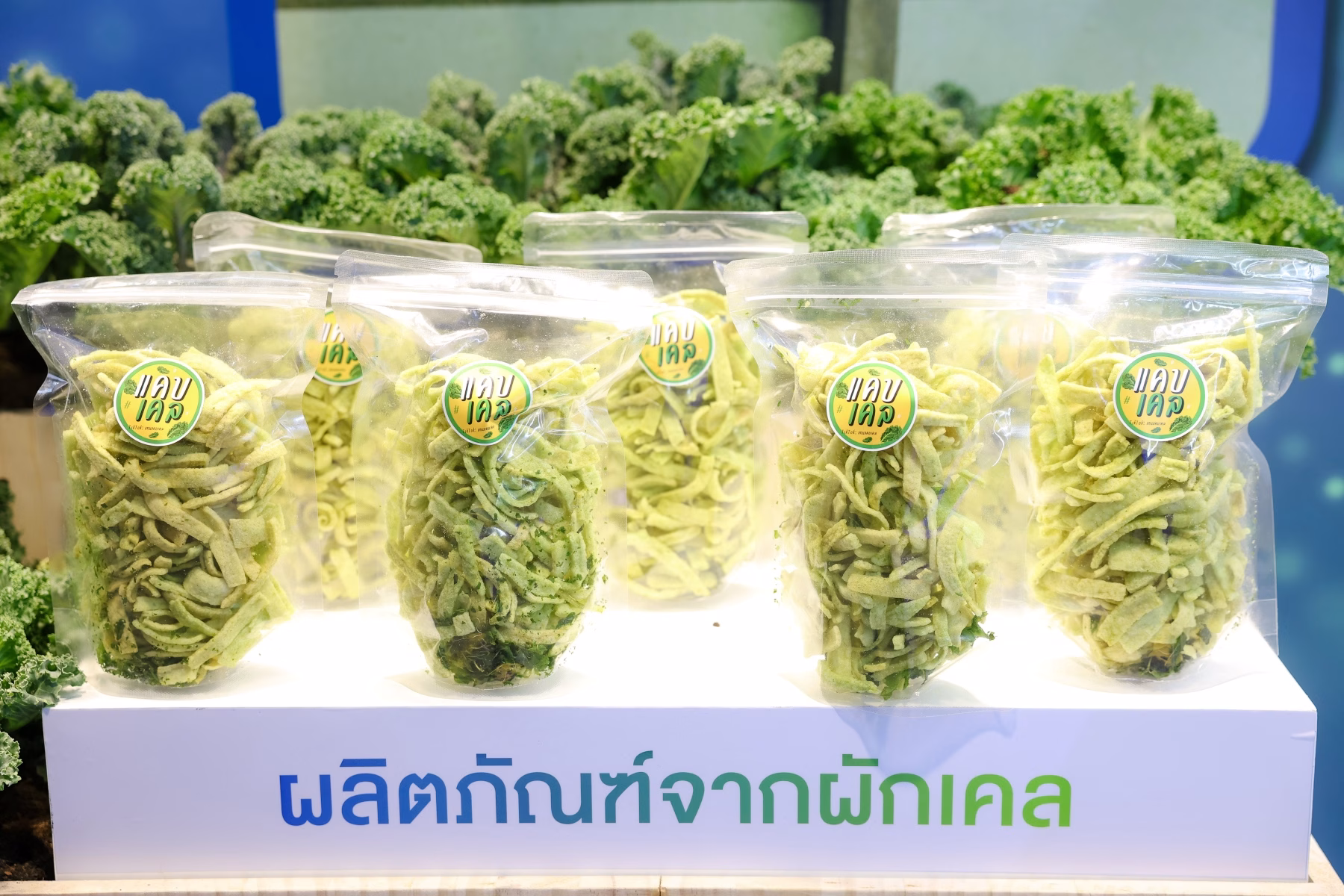 ซีพี แอ็กซ์ตร้า โชว์นวัตกรรมสีเขียว “ขยะเป็นศูนย์ ประโยชน์เป็นแสน From Waste To Wealth” พลิกวิกฤตขยะ สู่การสร้างมูลค่าใหม่เพื่อความยั่งยืน