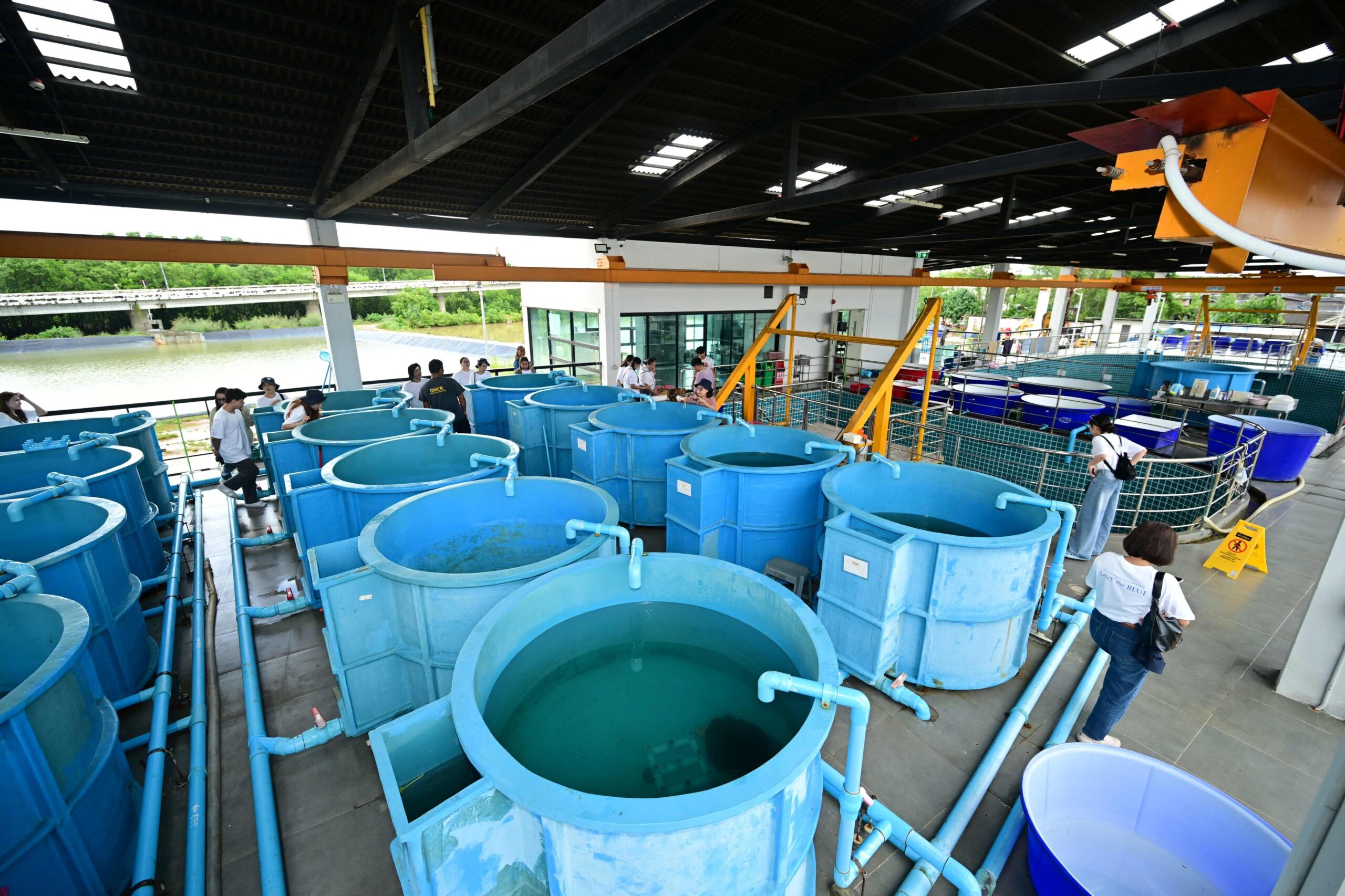 บริษัท โคเซ่ (kosÉ) ประเทศไทย จำกัด จัดกิจกรรมเพื่อการ อนุรักษ์สิ่งแวดล้อมทางทะเล อย่างยั่งยืนมายาวนาวกว่า 15 ปี พร้อมร่วมสมทบทุนโครงการศูนย์วิจัยทรัพยากรทางทะเลและชายฝั่งอ่าวไทยตะวันออก