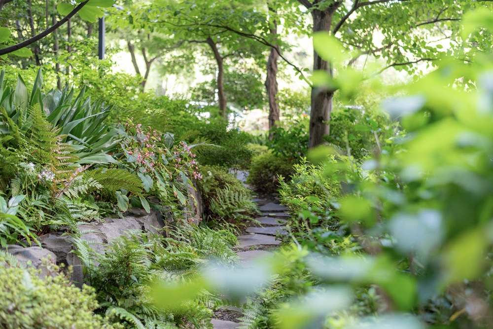 Ap Thailand – Mitsubishi Estate พันธมิตรอสังหาฯ ที่แข็งแกร่งที่สุดในไทย เดินหน้าสร้างเมล็ดพันธุ์ใหม่ ‘คนคุณภาพ’ ผ่านโครงการ Ap Open House ปีที่ 10