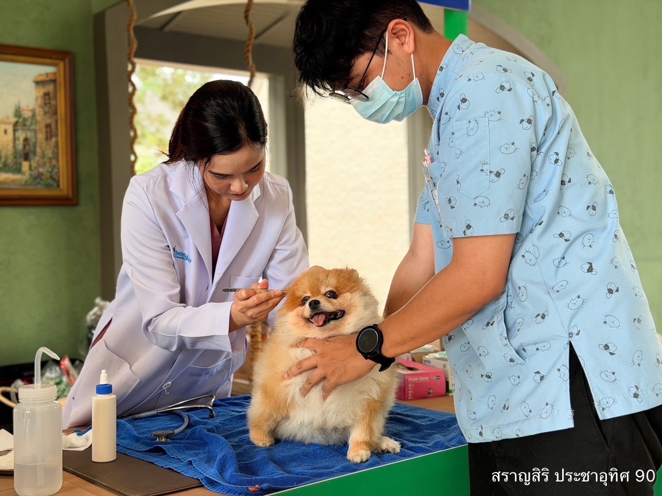 แสนสิริเปิดสวนใหม่กว่า 3 ไร่ ที่สราญสิริ ประชาอุทิศ 90 ประเดิมจัดงาน Paw In The Park สร้างความสุขให้กับลูกบ้านและสัตว์เลี้ยง