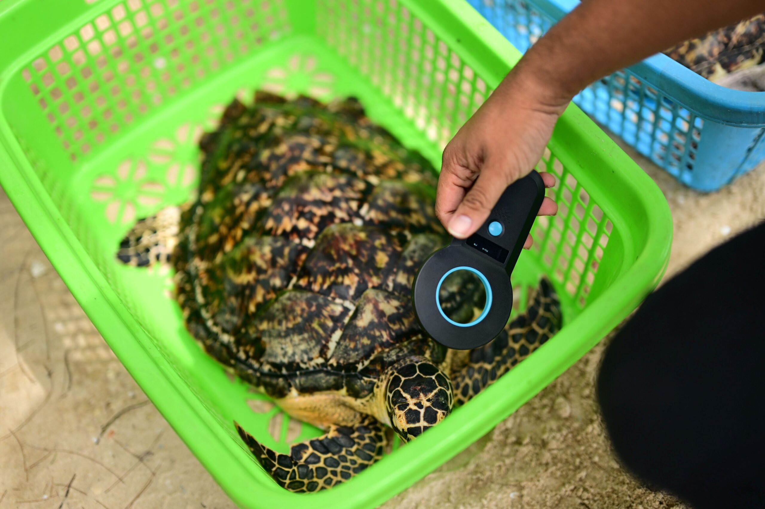 บริษัท โคเซ่ (kosÉ) ประเทศไทย จำกัด จัดกิจกรรมเพื่อการ อนุรักษ์สิ่งแวดล้อมทางทะเล อย่างยั่งยืนมายาวนาวกว่า 15 ปี พร้อมร่วมสมทบทุนโครงการศูนย์วิจัยทรัพยากรทางทะเลและชายฝั่งอ่าวไทยตะวันออก