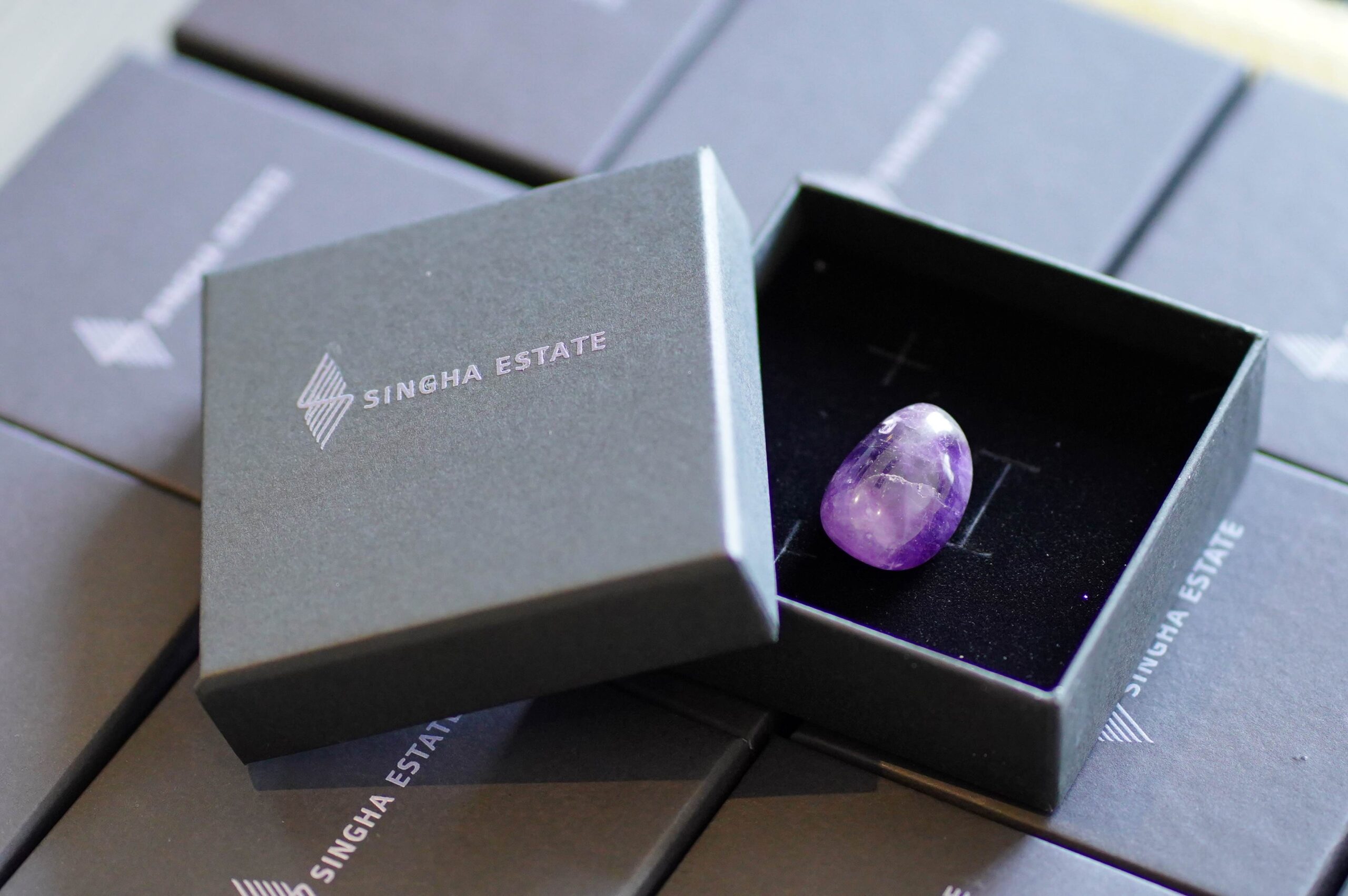 “สิงห์ เอสเตท” เปิดบ้าน S’rin พรานนก กาญจนา จัดกิจกรรม “the Infinite Crafts” ร่วมกับ “เบนท์ลีย์ แบงค็อก” มอบประสบการณ์สุดพิเศษเพื่อลูกบ้านและลูกค้าคนพิเศษ