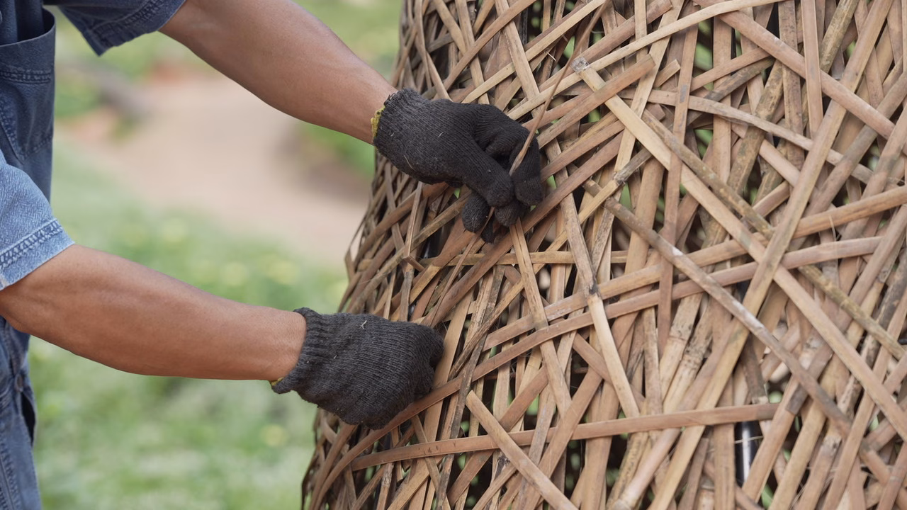 มูลนิธิแม่ฟ้าหลวงฯ ร่วมกับ เซ็นทรัล เชียงราย สืบสานพระปณิธานสมเด็จ พระบรมราชชนนีพันปีหลวง ถ่ายทอดภูมิปัญญา 4 ชนเผ่าล้านนา สู่งานศิลป์ “ต้นคริสต์มาสหมอกพันวา” ในเทศกาลสีสันกาสะลอง 2025