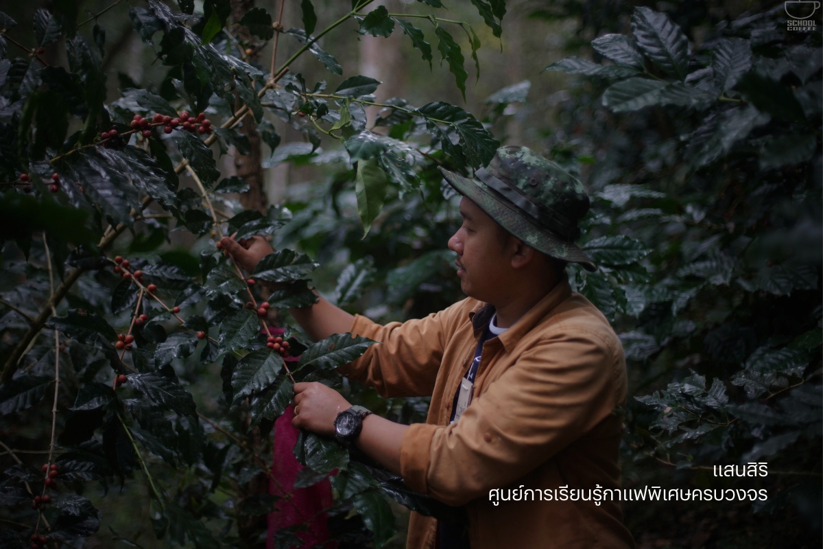 แสนสิริ เปิดตัวโปรเจ็กต์ธุรกิจเพื่อสังคม ‘ศูนย์การเรียนรู้กาแฟพิเศษครบวงจร’ สร้างแรงกระเพื่อมเศรษฐกิจฐานราก ขับเคลื่อนและผลักดันสู่ Sustainable Model วิสาหกิจเพื่อสังคม