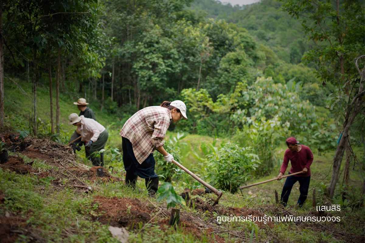 แสนสิริ เปิดตัวโปรเจ็กต์ธุรกิจเพื่อสังคม ‘ศูนย์การเรียนรู้กาแฟพิเศษครบวงจร’ สร้างแรงกระเพื่อมเศรษฐกิจฐานราก ขับเคลื่อนและผลักดันสู่ Sustainable Model วิสาหกิจเพื่อสังคม