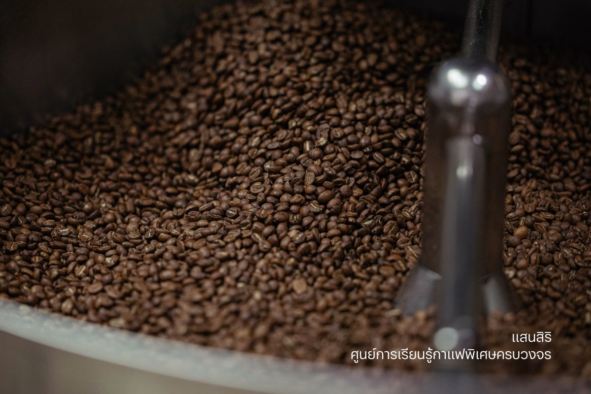 แสนสิริ เปิดตัวโปรเจ็กต์ธุรกิจเพื่อสังคม ‘ศูนย์การเรียนรู้กาแฟพิเศษครบวงจร’ สร้างแรงกระเพื่อมเศรษฐกิจฐานราก ขับเคลื่อนและผลักดันสู่ Sustainable Model วิสาหกิจเพื่อสังคม
