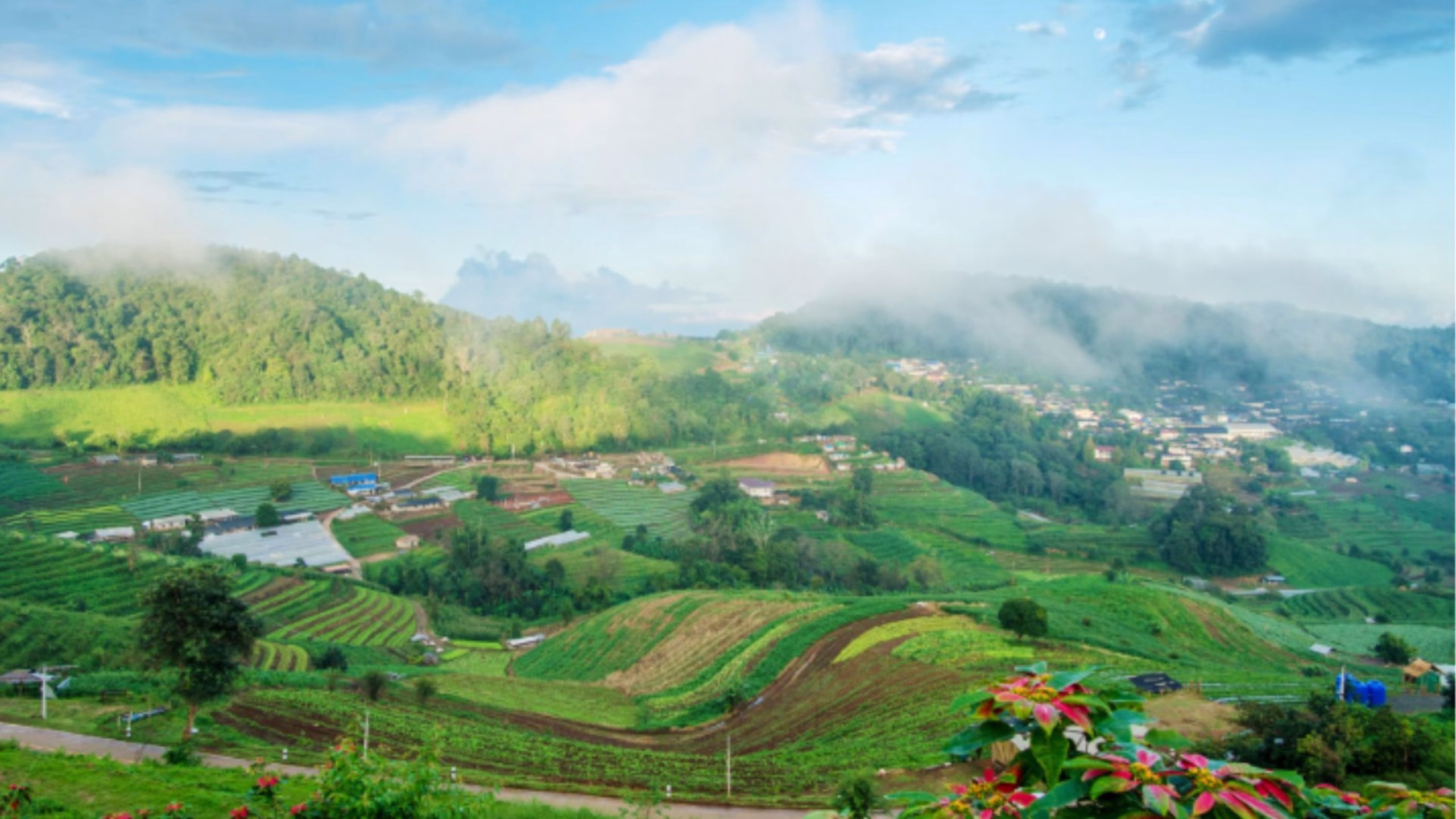ททท.– เคทีซี ผนึกกำลัง “เที่ยวทั่วไทย ฮีลใจรักษ์โลก” ผลักดันการท่องเที่ยวยั่งยืน