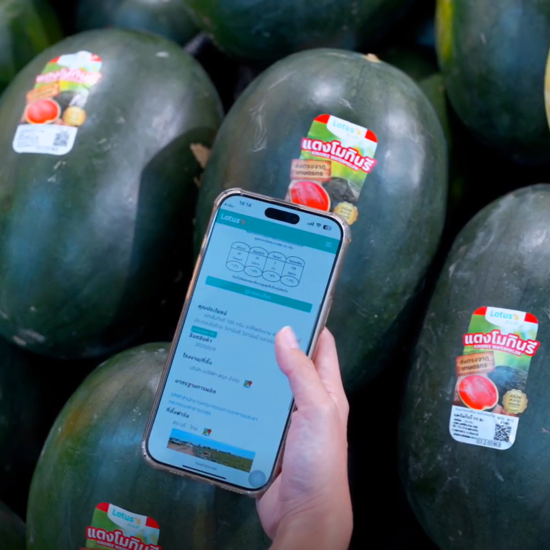 ซีพี แอ็กซ์ตร้า สนับสนุนเกษตรกรไทย เสริมความมั่นใจผู้บริโภคด้วยระบบ I Trace