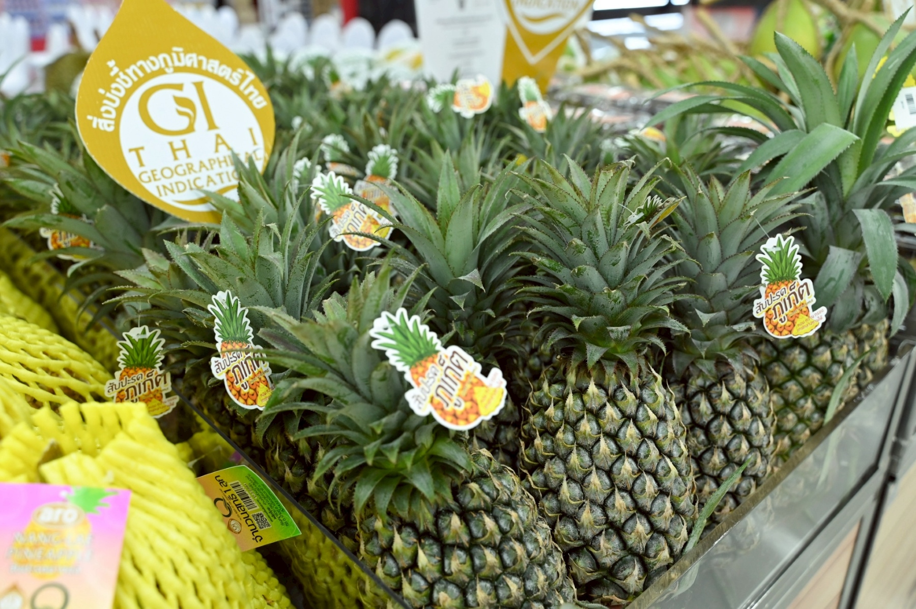 แม็คโคร–โลตัส คัดของไหว้ตรุษจีนคุณภาพจากเกษตรกรไทย ส่งต่อคุณค่าจากต้นทาง เติมความหมายในเทศกาลสำคัญ