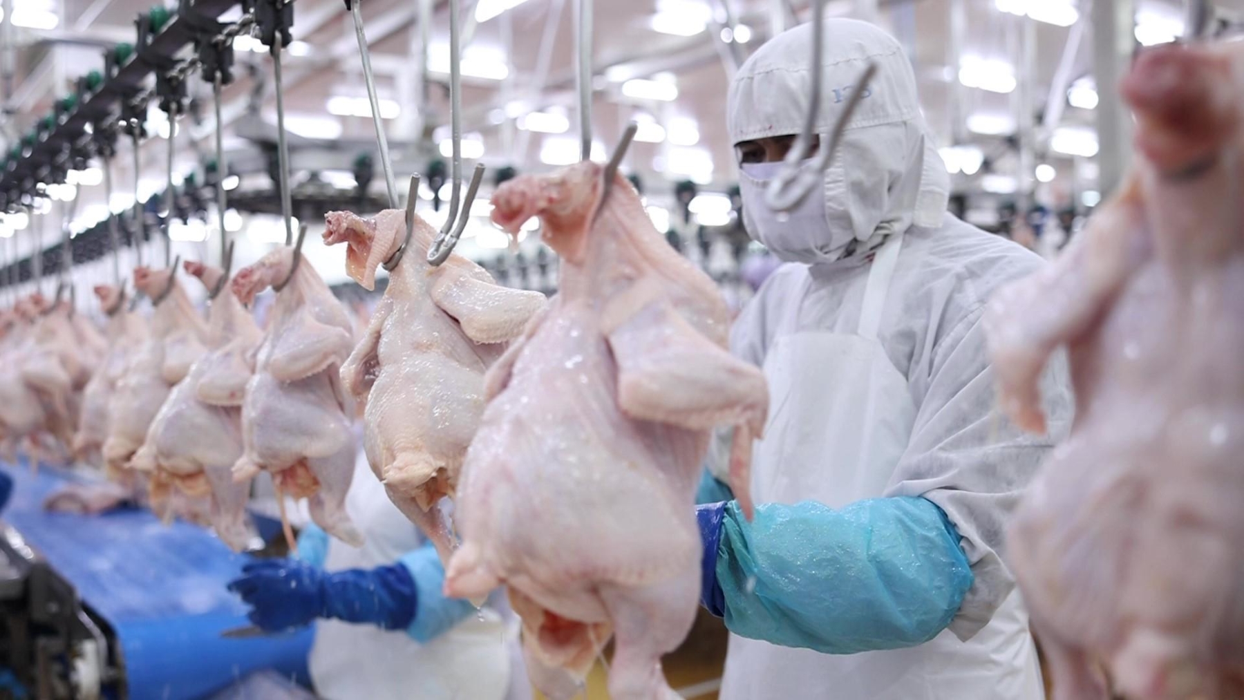 แม็คโคร–โลตัส คัดของไหว้ตรุษจีนคุณภาพจากเกษตรกรไทย ส่งต่อคุณค่าจากต้นทาง เติมความหมายในเทศกาลสำคัญ