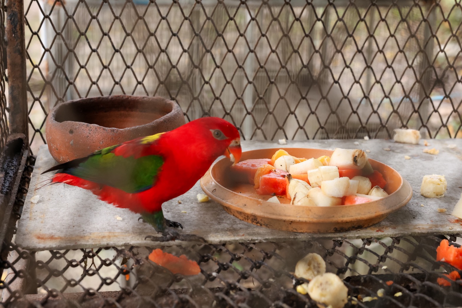 ซีพี แอ็กซ์ตร้า ร่วมเวที Asia Enwastexpo 2026 โชว์ศักยภาพการบริหารจัดการขยะอาหารระดับภูมิภาค