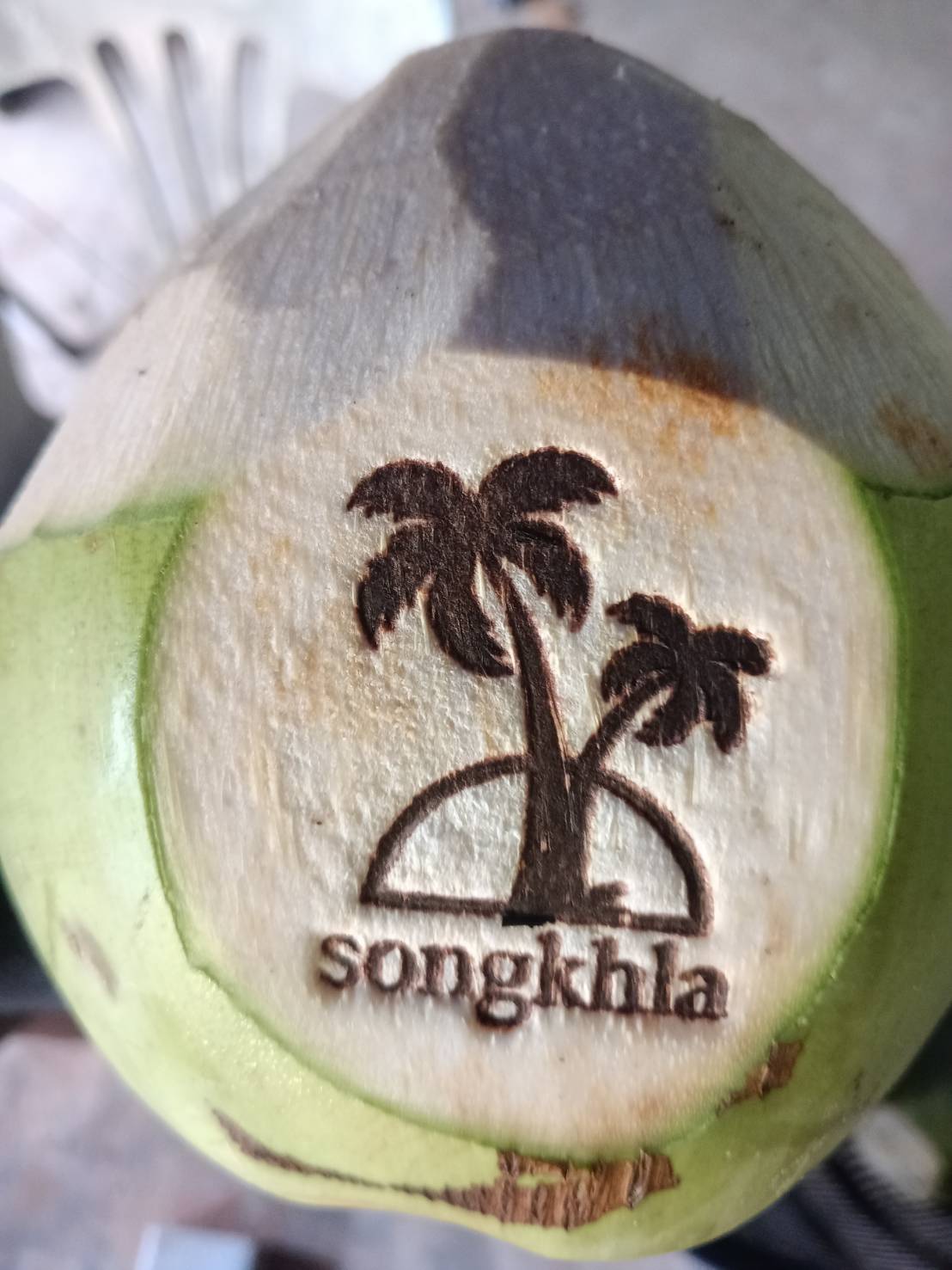 แม็คโคร ภายใต้ ซีพี แอ็กซ์ตร้า หนุนเกษตรกรไทย รับซื้อมะพร้าวน้ำหอมจากสวนบ้านแพ้ว–สงขลา สร้างโอกาสตลาดอย่างยั่งยืน