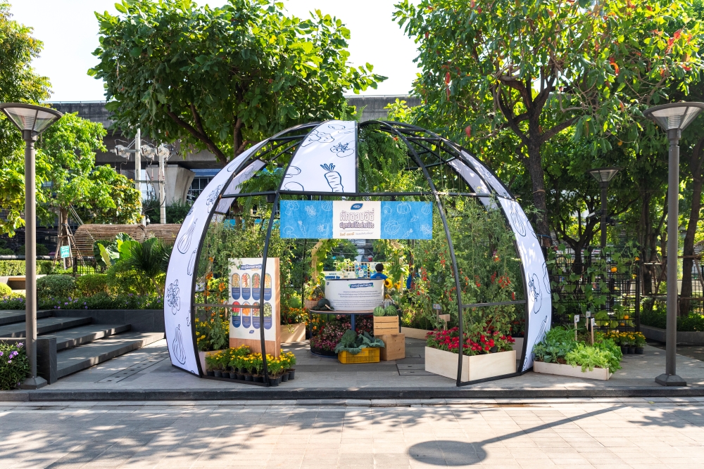 เจียไต๋เปิดตัว “ผักซองอีซี่ ปลูกง่าย ได้อย่างโปร” เปิดประสบการณ์และยกระดับการปลูก ชูกลยุทธ์ใช้งานสะดวก โตดี งอกดี ด้วยคุณภาพเมล็ดพันธุ์เทียบเท่าระดับโปร